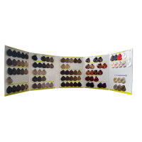 Yellow Professional Cartella Colore Pocket