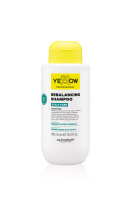 Yellow Professional Scalp Rebalancing Shampoo 500ml